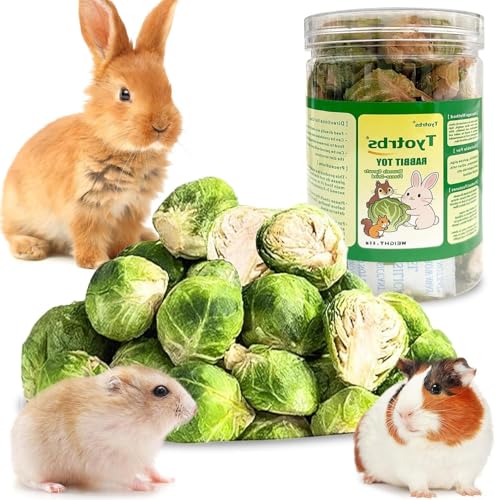 Tyotrbs Freeze Dried Brussels Sprouts Rabbit and Hamster Chew Treats