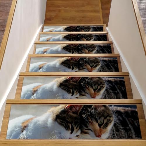 Alfombras para escaleras de madera antideslizantes 8x30 con base TPE 2