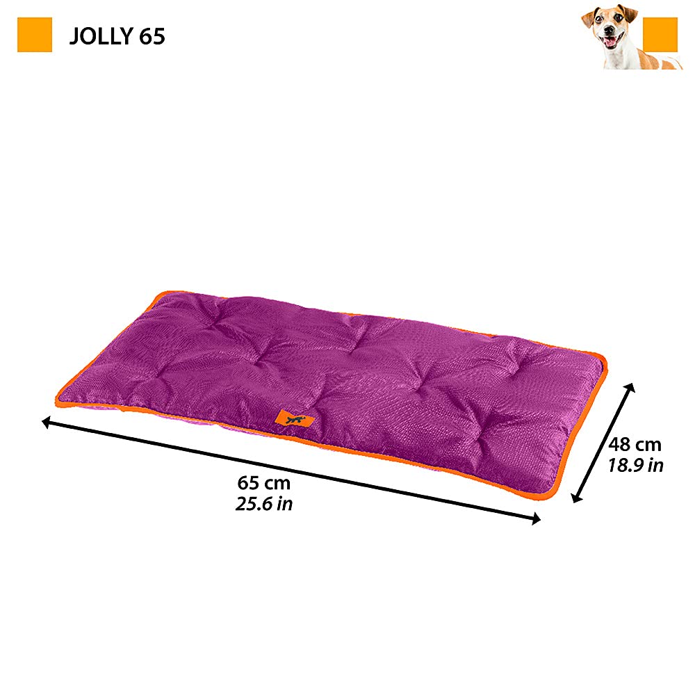 Ferplast Cuccia Cane e Gatto Antigraffio e Impermeabile, Tessuto Tecnico Resistente Tech, JOLLY Taglia Piccola, Materassino Lavabile a Mano a 30°, 65 x 48 x 3,5 cm, Marrone