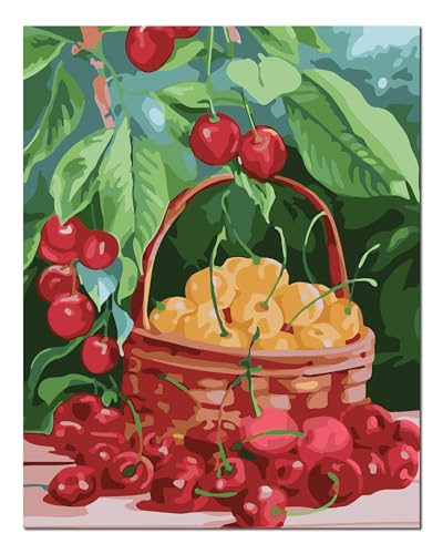 Peinture par numéros débutants Shukqueen - Kit anti-stress avec cadre bois 40x50