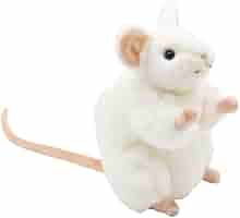  ぬいぐるみ　little Mouse リトルマウス　ねずみ　鼠 Amazon.co.jp: Arrowbash ネズミぬいぐるみ 5点セット 14インチ