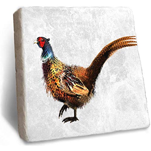 Pheasant Coaster - Rustic Marble Coaster by Stone Rebellion (Pheasant)