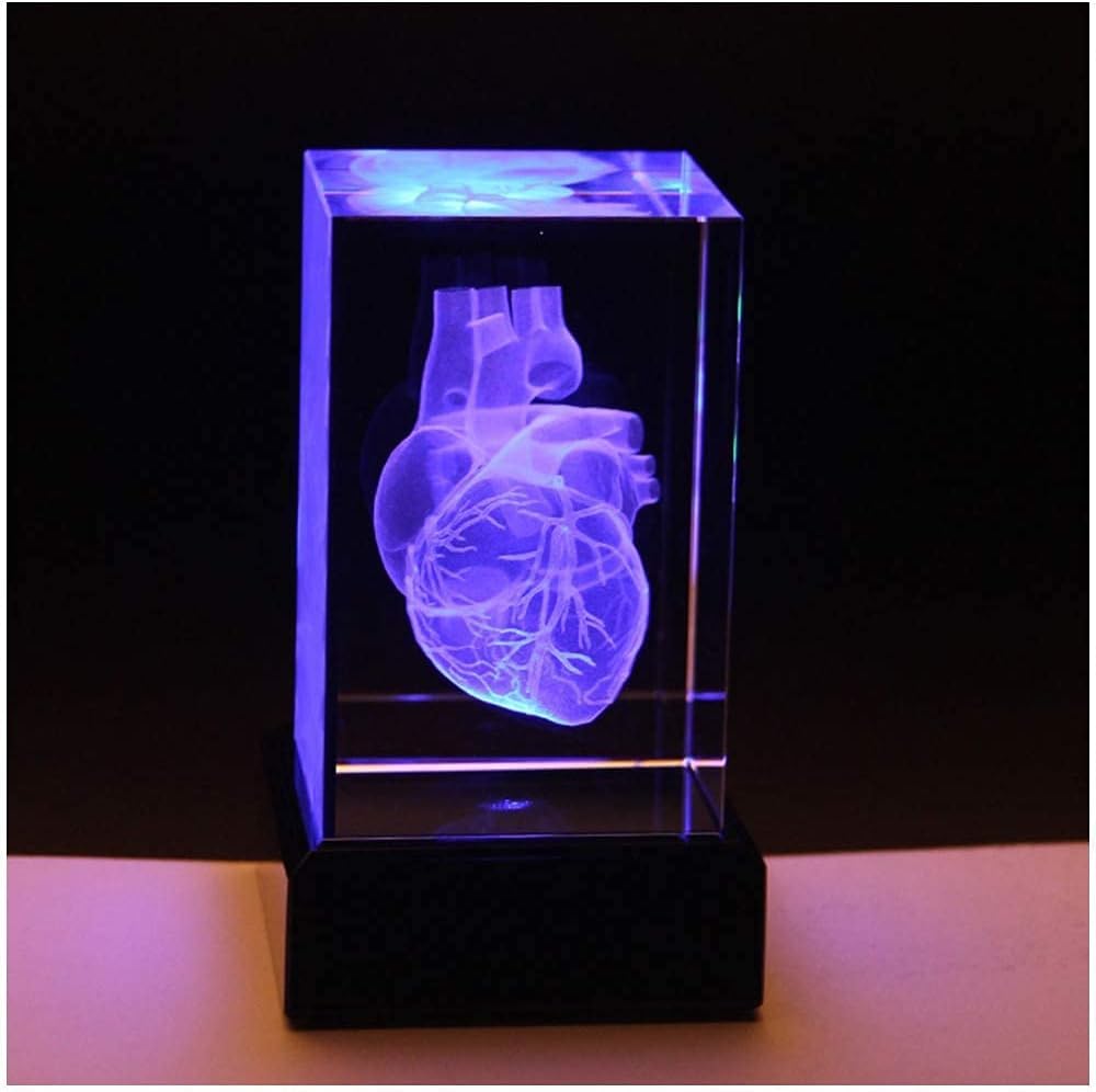 Crystal Human Heart Anatomical Model, 3D Paperweight Crystal Glass Cube Science Gift Souvenir LED Base, Customized Medical Gift Ornaments for Doctors and Students(6 * 6 * 9cm)