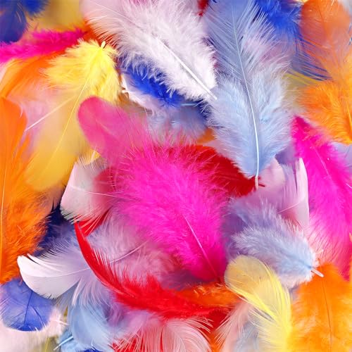 image for iHUFeather 600pcs Colorful Feathers for Crafts 3-5inch Craft Feathers 