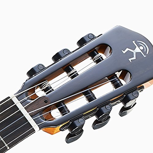 Amazon | aNueNue （ アヌエヌエ ） aNN-MN214 Bird Guitar Series