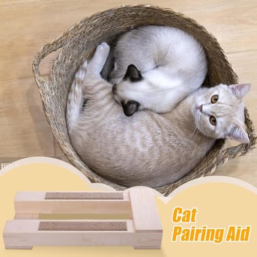 Chaise de reproduction de chat en taille M et L pour salon et balcon - 3