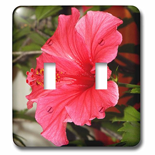 Interrupteur Rose Hibiscus pour une décoration de salon fleurie et élégante