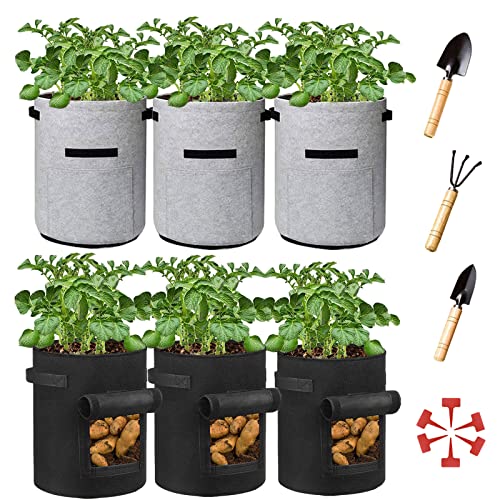 What Is The Best Potato Growing Bags Spicer Castle