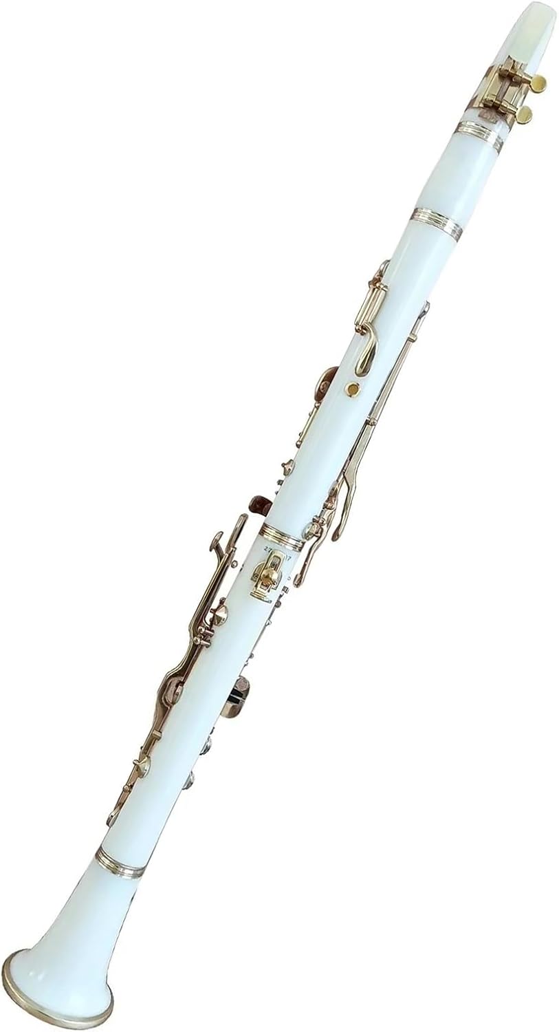 Clarinet Resin Body Material Surface Gold-Plated Keys 20-Button Clarinet Instrument in G Key