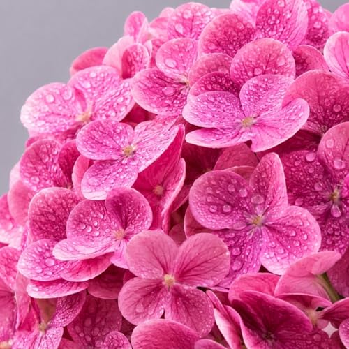 Image of CURATED CART Hydrangea Artificial Flowers with Stem, 1 Stick for Home Decor, Party, Living, Office Table, Realistic Look, Fake Flowers, 12 Inch, Light Green