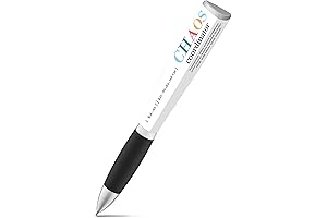 Chaos Coordinator Ballpoint Pen, Coworker Gifts for Women, Including a Pen case