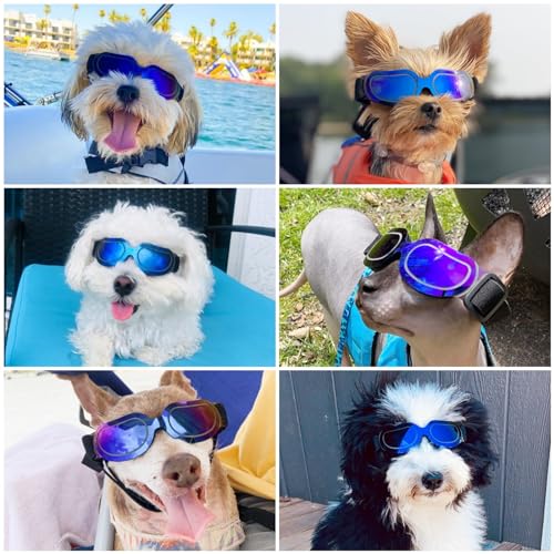 ENJOYING Dog Sunglasses Small Dog Goggles Anti-UV Doggy Glasses for Small Dogs Big Cats Impact/Wind/Dust/Fog Proof Puppy Eye Protection, Cool Blue ENJOYING Dog Sunglasses Small Dog Goggles Anti-UV Doggy Glasses for Small Dogs Big Cats Impact/Wind/Dust/Fog Proof Puppy Eye Protection, Cool Blue