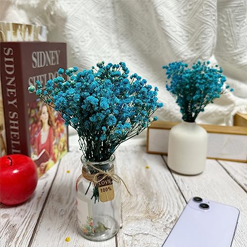 6 piezas Ramo Mini Gypsophila preservada azul miniatura 4