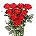Produktbild JUSTOYOU 10 PCS Rote Rose Künstlich, Seide Rote Blumen Realistischer Blumenstrauß, Einzelner Langer Stamm gefälschte Rosen für Home Table Office Party Hochzeit Garten Arrangements (10 PCS, Rot)