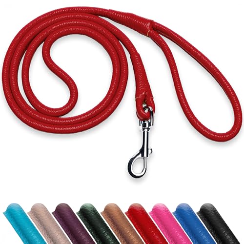 OOPSDOGGY Laisse de dressage robuste en cuir roulé pour chiens et chiots de petite, moyenne et grande taille, 1,8 m (rouge, taille S)