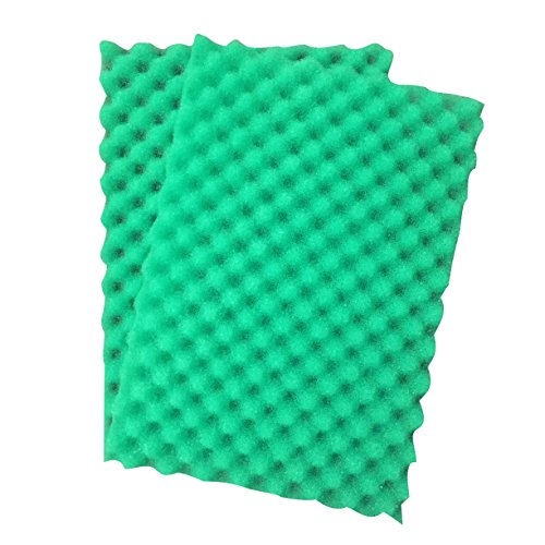 Set 2 Espumas Filtro Compatible Green Genie 2000-6000 miniatura 1