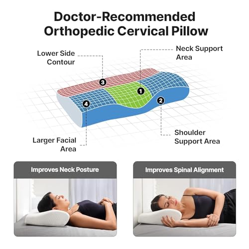 Image of Contour Cervical Neck Pillow for Pain Relief Sleep,Spinal Alignment, Neck Cushion with Memory Foam,Skin Friendly Cover, White (Pack of 1, Contour Cervical Pillow - White)