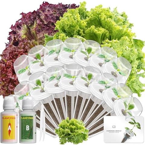 LYKOCLEAN Red Romaine Lettuce Seed Pod Kits for AeroGarden, Ahopegarden, iDOO Hydroponics Growing System Indoor Herb Garden, 400+ Seeds, Including American Fast Lettuce, Red Romaine Lettuce(16-Pods) Cover