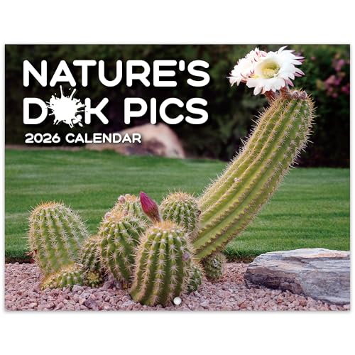 Gag Gifts - Funny 2026 Wall Calendar, 2026 Calendar with Thick Paper, Jan. 2026 - Dec. 2026, 11' x 8.5', Best for White Elephant Gag Gifts