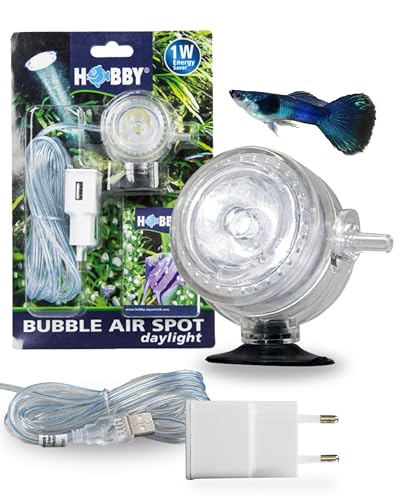 HOBBY Aquaristik Bubble Air Spot Daylight I 2-in-1 LED-Tageslicht & Luftausströmer für Aquarien I Stimmungsvoller Sonnenlicht-Effekt mit Ausströmerfunktion I Kompakte Größe