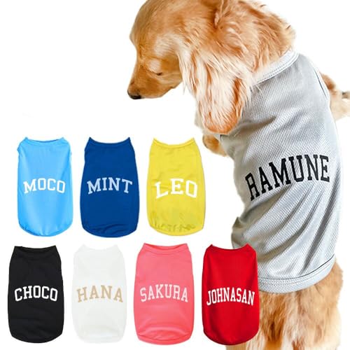    SPIRAL-style ꃁbV^N l[S XL }u[ ^ ^ ^ ~ t    ₷  킢 uh Z[ U