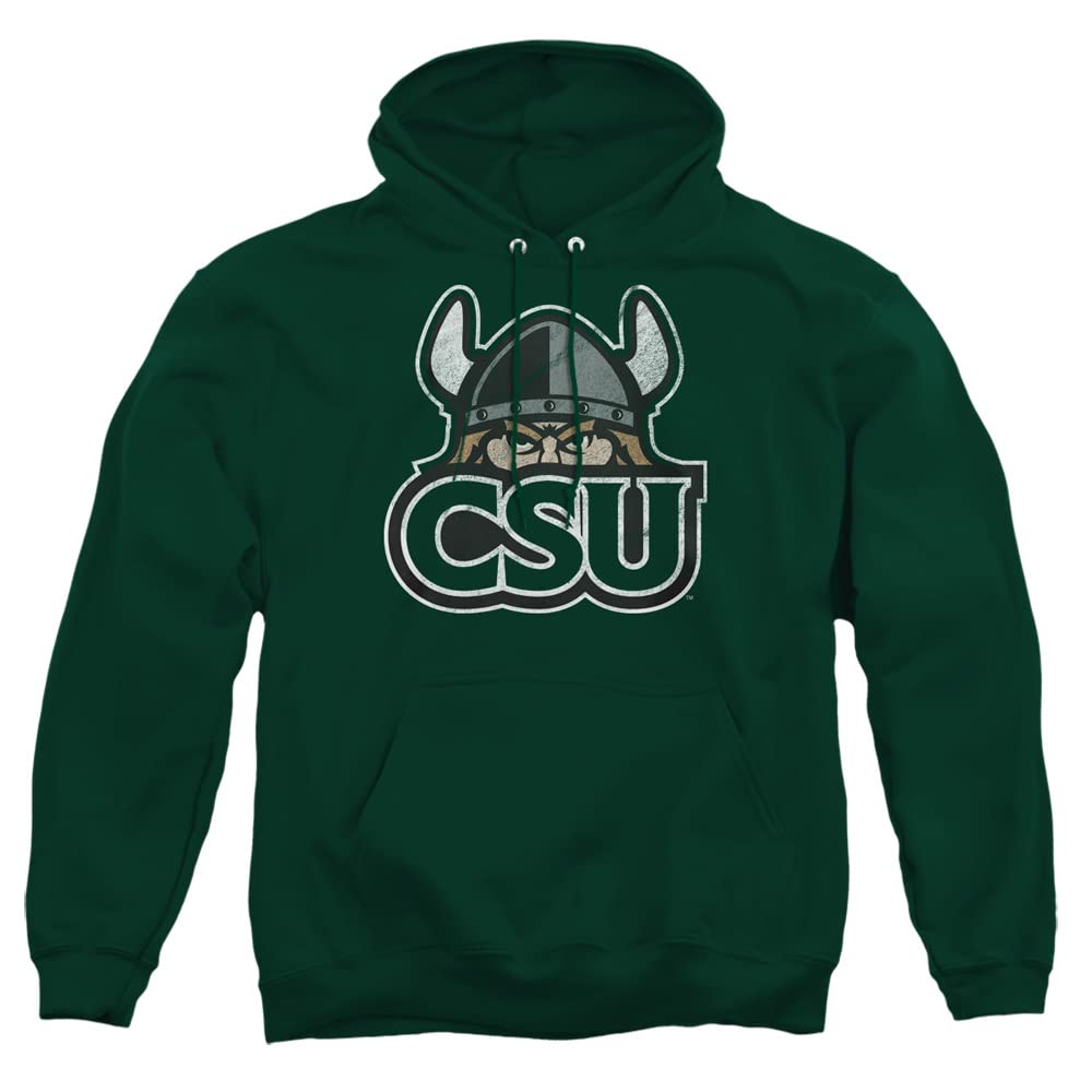LOGOVISION Official Collegiate Distressed Primary Logo Adult Pullover Hoodie Collection — view 168