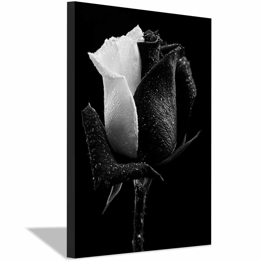 HOQIU Black And White Pictures For Walls Dewy Split Tone Ros prints for walls, canvas wall art, for Living Room Bedroom Bathroom Home Office Wall Decoration(Multicolor)-30x40cm Framed