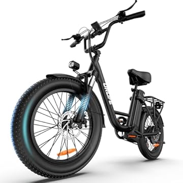 electric bike with fat wheels