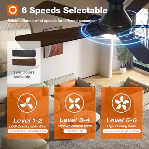 Image of addlon Ceiling Fans with Lights, 52 inch Low Profile Ceiling fan with Light and Remote Control, Flush Mount, Reversible, 3CCT, Dimmable, Noiseless, Black Ceiling Fan for Bedroom, Indoor /Outdoor Use