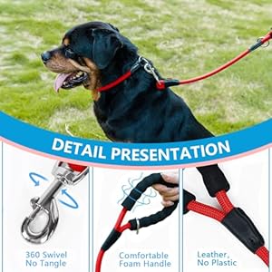 Dog Leash Braided Rope Traction  Walking Training Lead for Smallmedium Dogs 13  6ft Red  Cucciolini Doodles Dog leash braided rope traction  walking training lead for smallmedium dogs 13  6ft red   cucciolini doodles