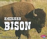 American Bison (North American Animals)