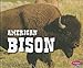 American Bison (North American Animals)