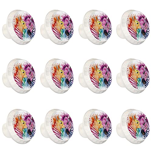 Boutons décoratifs aquarelle zèbre pour une commode au design remarquable