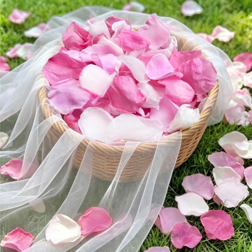 300+ Real White Pink Rose Petals,Freeze Dried Flower Wedding Petals,2.82oz