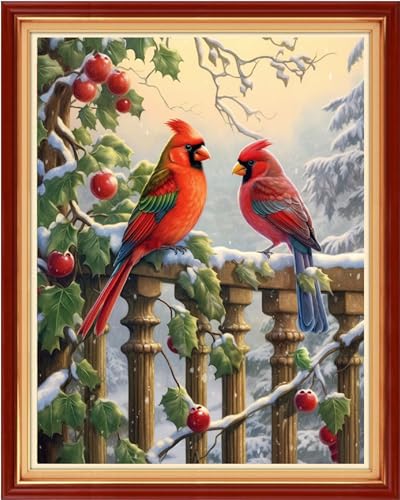 Image of Dooxvey Cross Stitch Kits for Adults Stamped Full Range of Embroidery Starter Kits for Beginners 11CT Printed Cross Stitch Patterns Needlepoint Kits Stamped Crossstitching-Bird Snow Scenery 16x20 inch