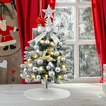 N&T NIETING 24 Inch Small Christmas Tree with Lights, Mini Flocked Christmas Tree Set, 2FT Table Top Artificial Christmas Trees with Ornaments, Little Xmas Tree for Holiday DIY Christmas Decoration