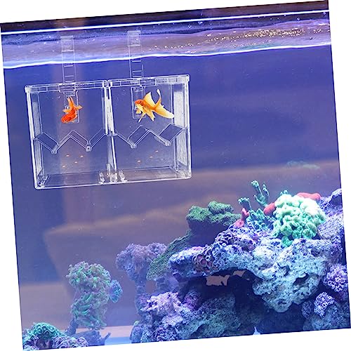 Couveuse transparente double couche HEMOTON anti-agression pour alevins