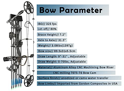 Hunting Compound Bow Package