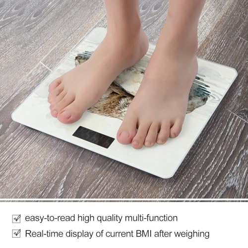 Báscula digital de baño precisa y estable con pantalla LCD miniatura 5