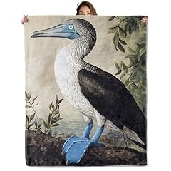 Blue-footed Booby Bird