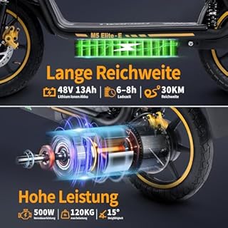 TWOFISH E Scooter mit EEC Zulassung, 500W Elektro Scooter mit 48V 13Ah Akku, 30 km Reichweite, 14" Reifen, doppelte Federung, 3 Geschwindigkeiten, Elektroroller Erwachsene mit LED-Display (Schwarz)
