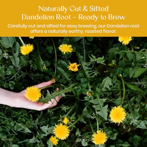 Image of Blendart Dandelion Leaf & Root Tea bags, 30 Teabags - Natural Dandelion Herbal Tea for Liver & Kidney Detox Health - Caffeine-free Support IMPROVES DIGESTION & Boost Immune System Detox Herbal Tea