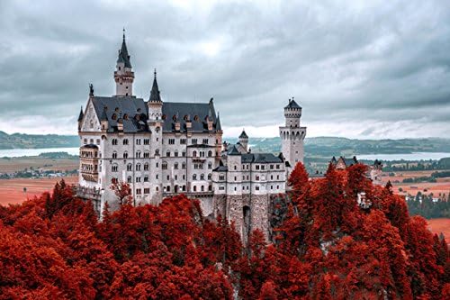 Castles Germany Neuschwanstein Bavaria (No.010044) Poster Art Print on Canvas 36x24 inch