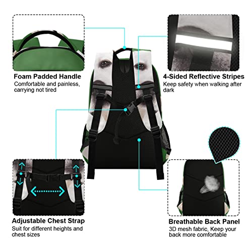 Labrador Retriever Dog Backpacks Travel Laptop Daypack School Book Bag for Men Women Teens Kids4