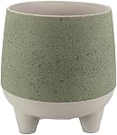 The HC Companies 8 Inch Orion Self Watering Planter - Lightweight Indoor Plastic Plant Pot for Herbs and Flowers, Sage