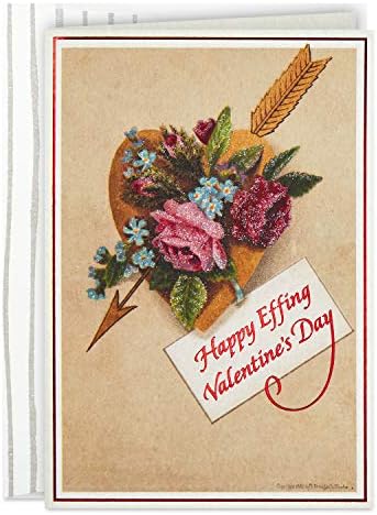 Hallmark Good Mail Funny Valentines Day Card (Happy Effing Valentines Day)