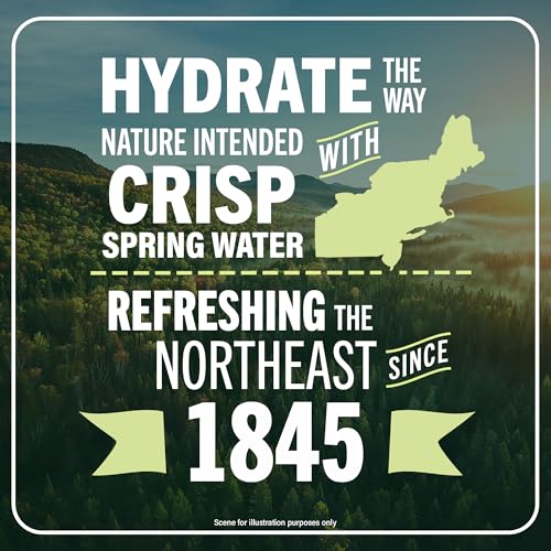 Image of Poland Spring Maine Spring Water Aluminum Bottle - Crisp, Still Bottled Water with Naturally Occurring Minerals & Electrolytes for Taste - Single - 25 fl oz