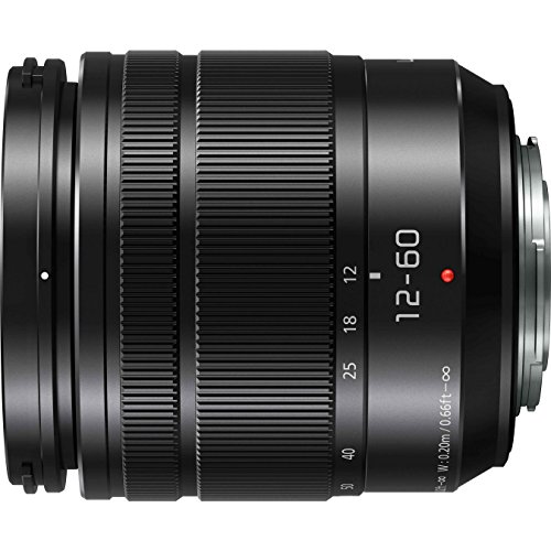 PANASONIC LUMIX G Vario LENTILLE, 12-60 mm, F3.5-5.6 ASPH., Micro Quatre Tiers sans MIROR, Power Optical I.S., H-FS12060 (USA Noir)