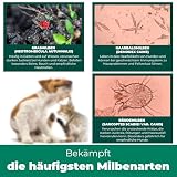 Silberkraft Grasmilben Ex Aktiv Spray mit effektiver Sofortwirkung [500 ml]