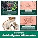 Silberkraft Grasmilben Ex Aktiv Spray mit effektiver Sofortwirkung [500 ml]